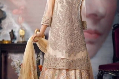 WhatsApp-Image-2025-02-19-at-3.45.16-AM