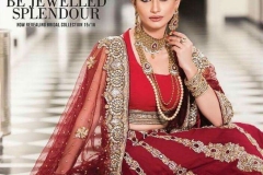 WhatsApp-Image-2025-02-19-at-3.45.25-AM-1