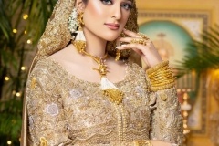 WhatsApp-Image-2025-02-19-at-3.45.42-AM