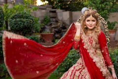 WhatsApp-Image-2025-02-19-at-3.46.12-AM