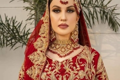 WhatsApp-Image-2025-02-19-at-3.46.33-AM